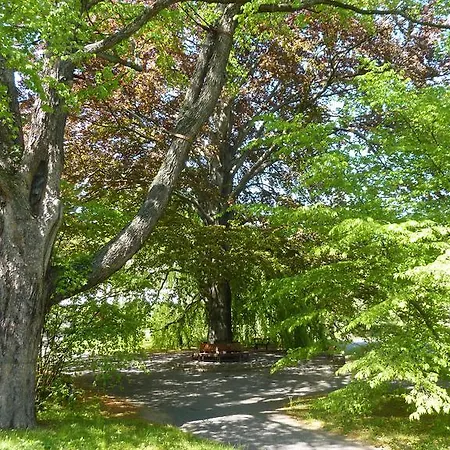 Апартаменты City Apartment Jena *