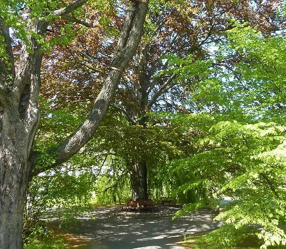 Apartmán City Apartment Jena *